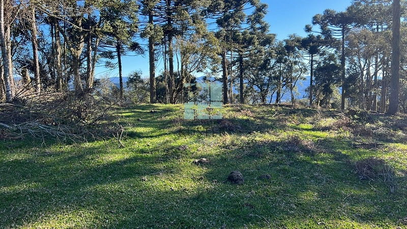 Terreno de Altitude: 2ª foto da galeria de imagens do imóvel