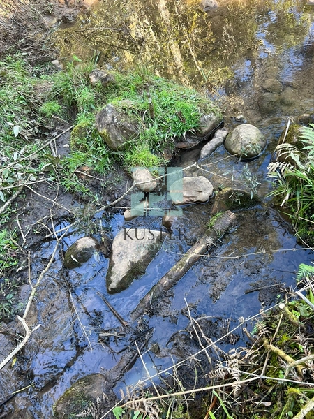 Terreno de Altitude: 3ª foto da galeria de imagens do imóvel