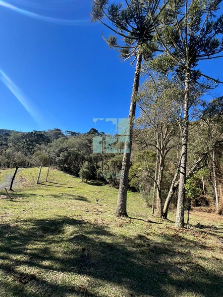 Terreno de Altitude: 12ª foto da galeria de imagens do imóvel