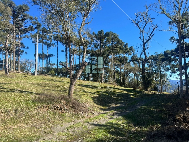 Terreno de Altitude: 7ª foto da galeria de imagens do imóvel