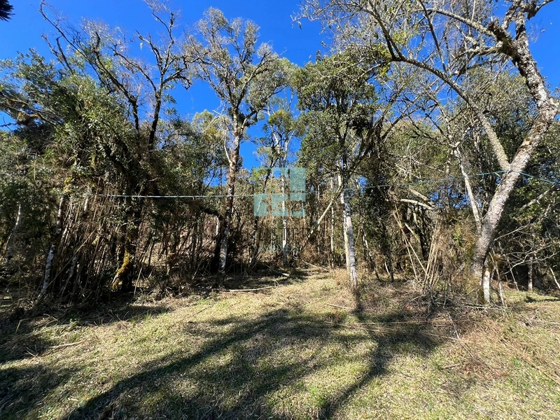 Terreno de Altitude: 8ª foto da galeria de imagens do imóvel