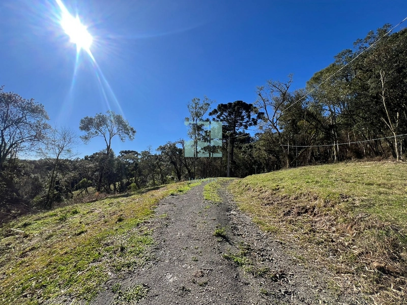 Terreno de Altitude: 11ª foto da galeria de imagens do imóvel