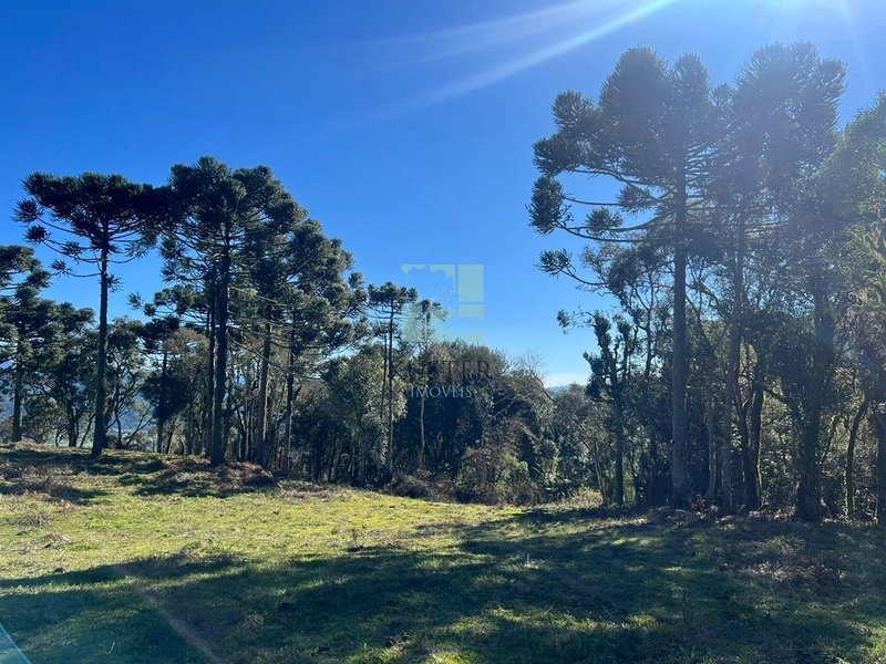 Terreno de Altitude: 5ª foto da galeria de imagens do imóvel