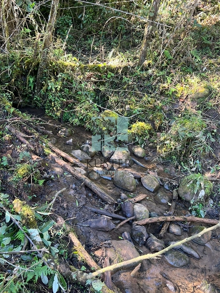 Terreno de Altitude: 10ª foto da galeria de imagens do imóvel