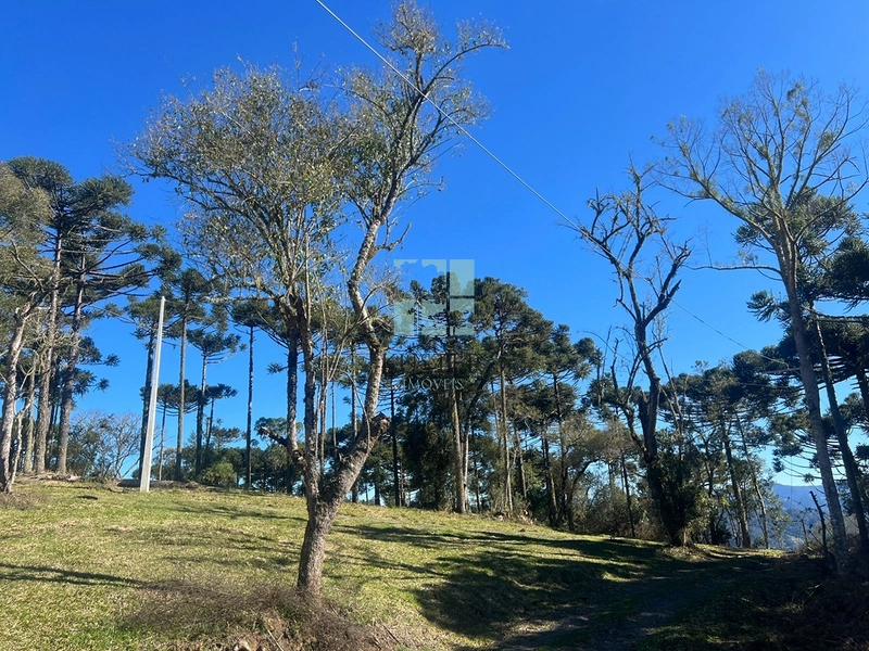 Terreno de Altitude: 9ª foto da galeria de imagens do imóvel