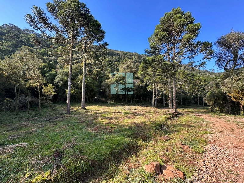 Terreno na Rota das Cachoeiras: 4ª foto da galeria de imagens do imóvel