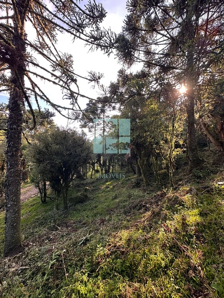 Terreno na Rota das Cachoeiras: 5ª foto da galeria de imagens do imóvel