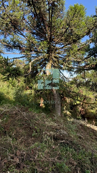 Terreno na Rota das Cachoeiras: 3ª foto da galeria de imagens do imóvel