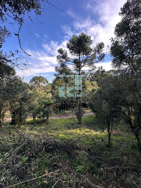 Terreno na Rota das Cachoeiras: 6ª foto da galeria de imagens do imóvel