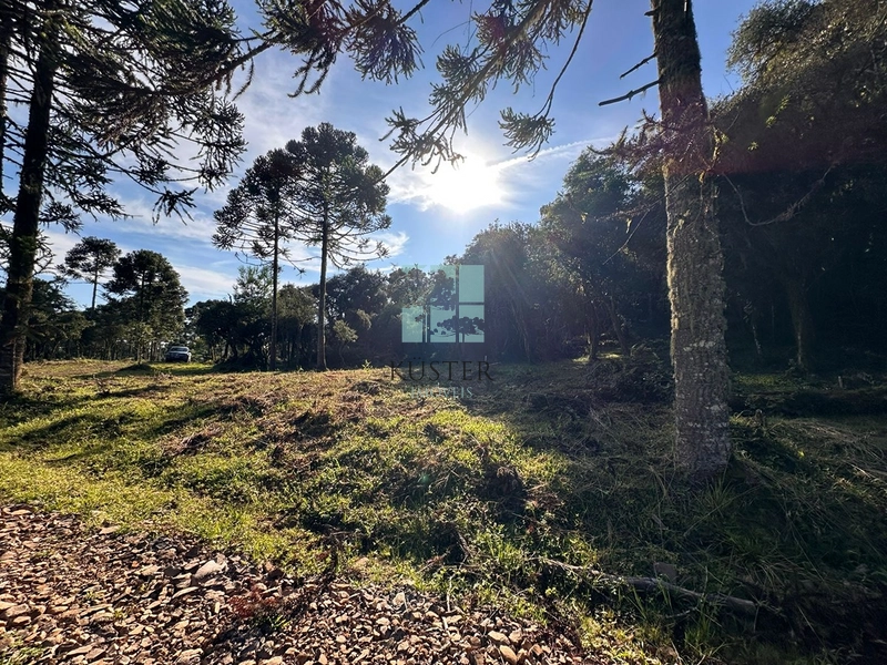 Terreno na Rota das Cachoeiras: 2ª foto da galeria de imagens do imóvel