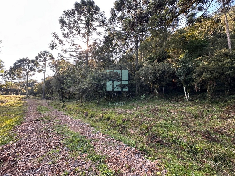 Terreno na Rota das Cachoeiras: 8ª foto da galeria de imagens do imóvel