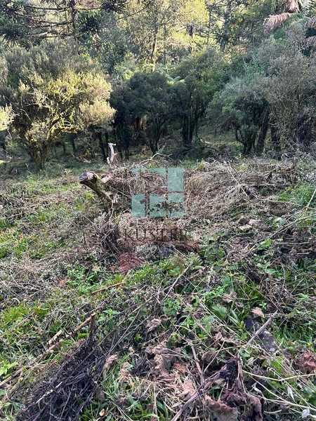 Terreno na Rota das Cachoeiras: 7ª foto da galeria de imagens do imóvel