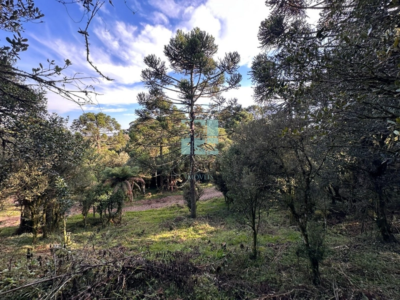 Terreno na Rota das Cachoeiras: 10ª foto da galeria de imagens do imóvel