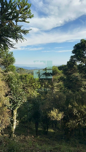 Terreno na Rota das Cachoeiras: 9ª foto da galeria de imagens do imóvel