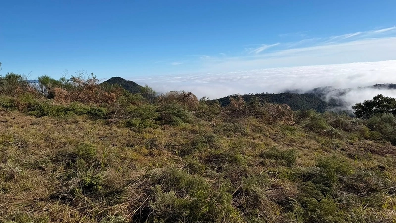 Terreno de Altitude: 10ª foto da galeria de imagens do imóvel