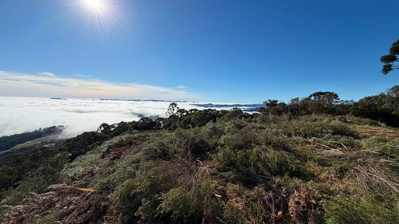 Terreno de Altitude: 11ª foto da galeria de imagens do imóvel