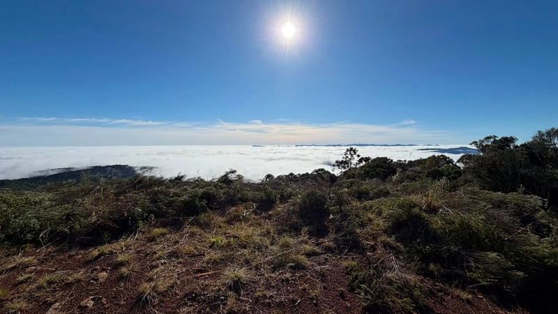 Terreno de Altitude: 8ª foto da galeria de imagens do imóvel