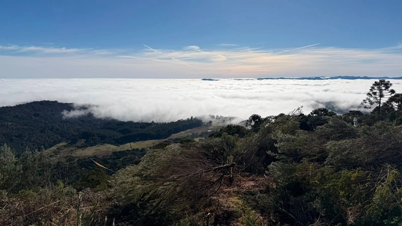 Terreno de Altitude: 7ª foto da galeria de imagens do imóvel