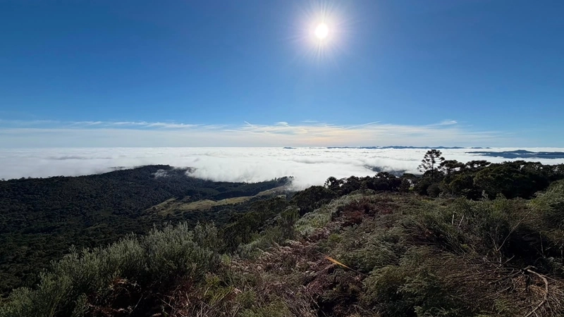 Terreno de Altitude: 5ª foto da galeria de imagens do imóvel