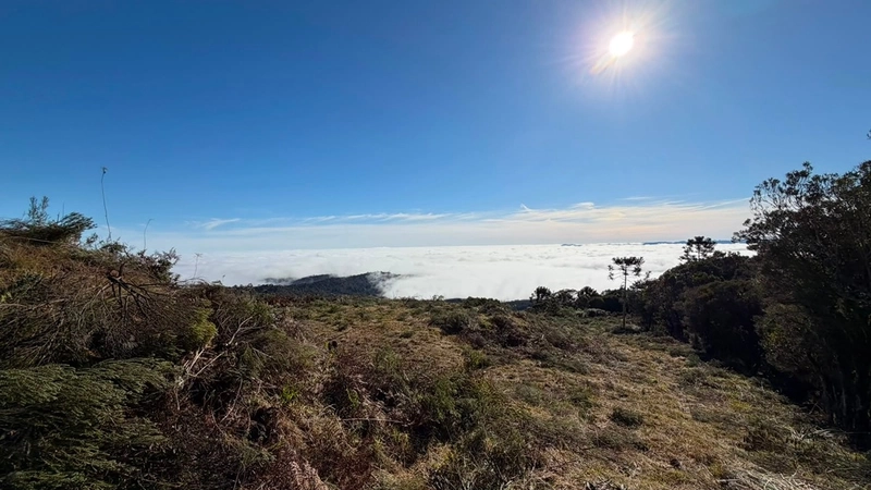 Terreno de Altitude: 2ª foto da galeria de imagens do imóvel