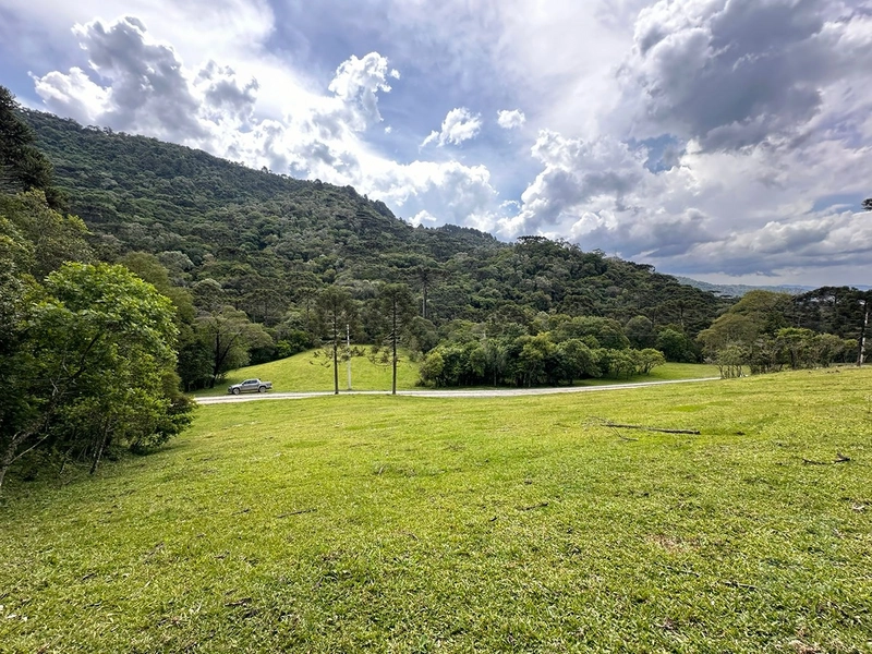 Terreno Rural do lado da Cidade: 4ª foto da galeria de imagens do imóvel