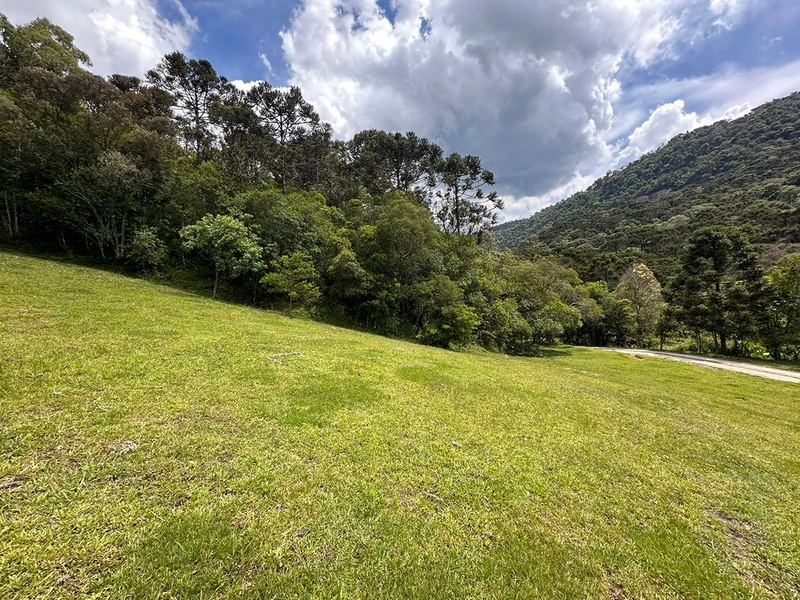 Terreno Rural do lado da Cidade: 6ª foto da galeria de imagens do imóvel
