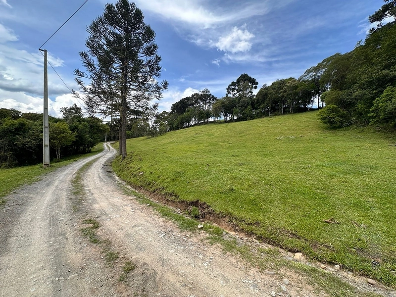 Terreno Rural do lado da Cidade: 1ª foto da galeria de imagens do imóvel