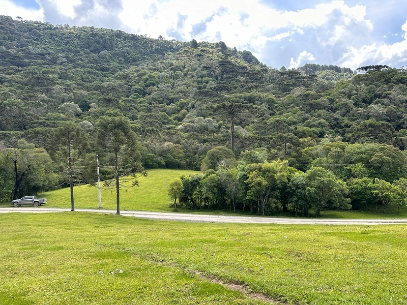Terreno Rural do lado da Cidade: 10ª foto da galeria de imagens do imóvel
