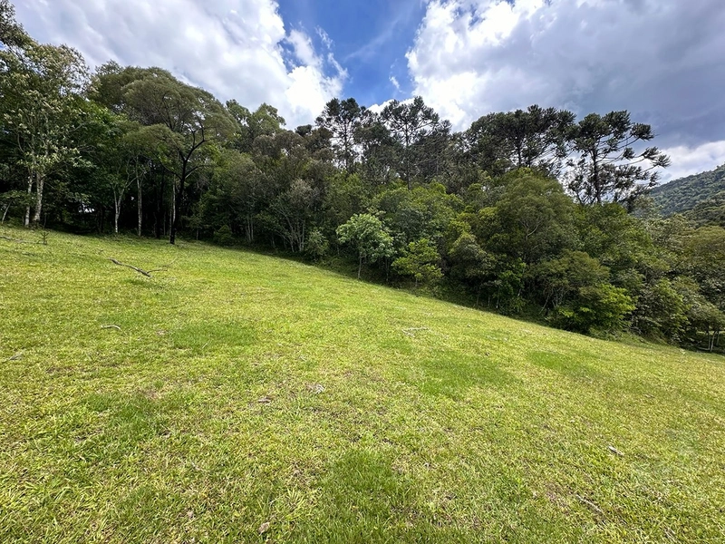 Terreno Rural do lado da Cidade: 2ª foto da galeria de imagens do imóvel