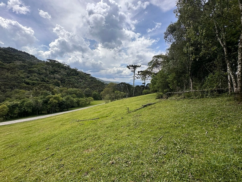 Terreno Rural do lado da Cidade: 5ª foto da galeria de imagens do imóvel