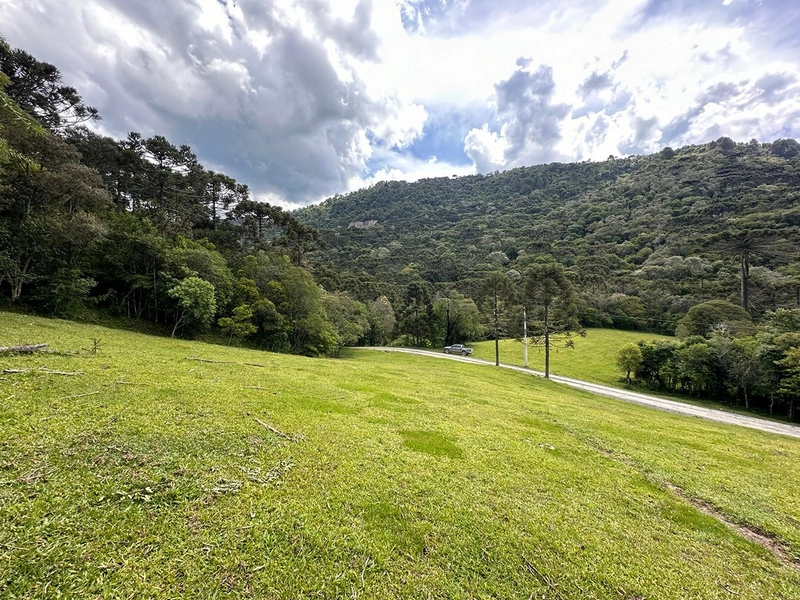 Terreno Rural do lado da Cidade: 7ª foto da galeria de imagens do imóvel