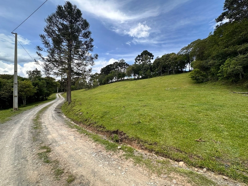 Terreno Rural do lado da Cidade: 3ª foto da galeria de imagens do imóvel