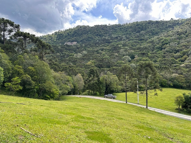 Terreno Rural do lado da Cidade: 8ª foto da galeria de imagens do imóvel
