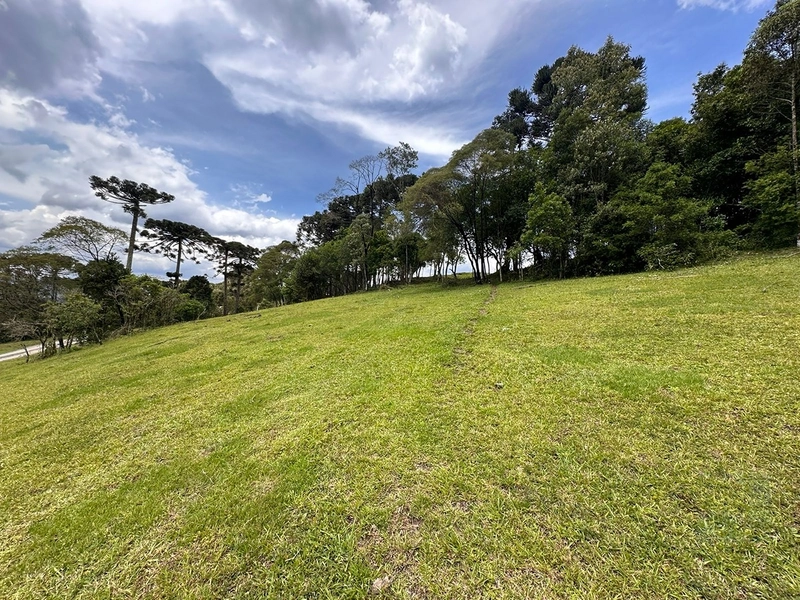 Terreno Rural do lado da Cidade: 12ª foto da galeria de imagens do imóvel