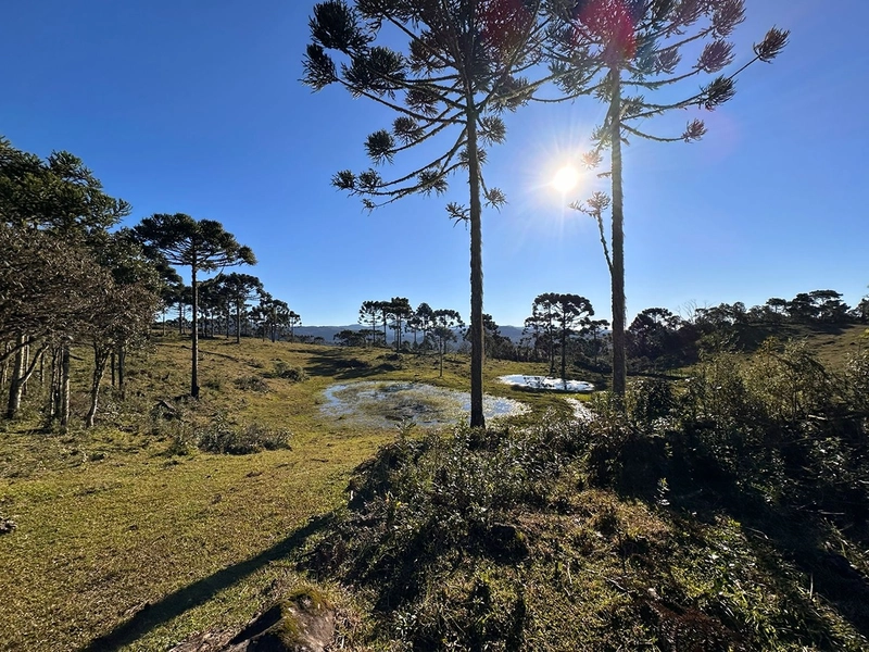 Fazenda: 1ª foto da galeria de imagens do imóvel
