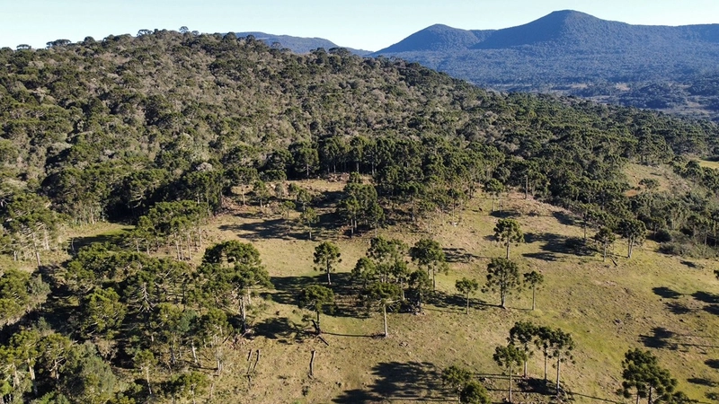 Fazenda: 3ª foto da galeria de imagens do imóvel