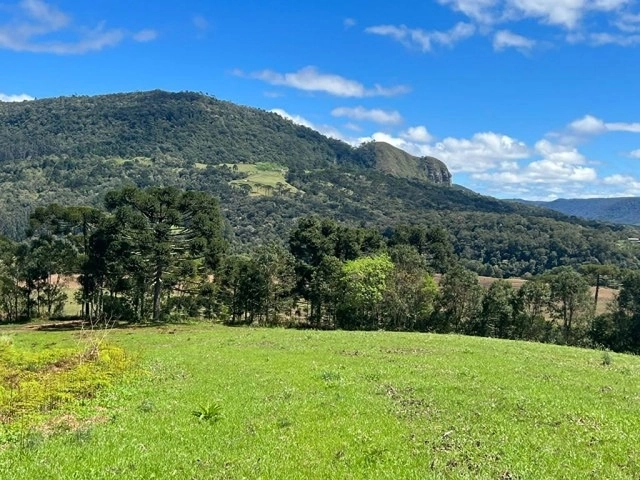 Terreno bem Aproveitavel: 1ª foto da galeria de imagens do imóvel