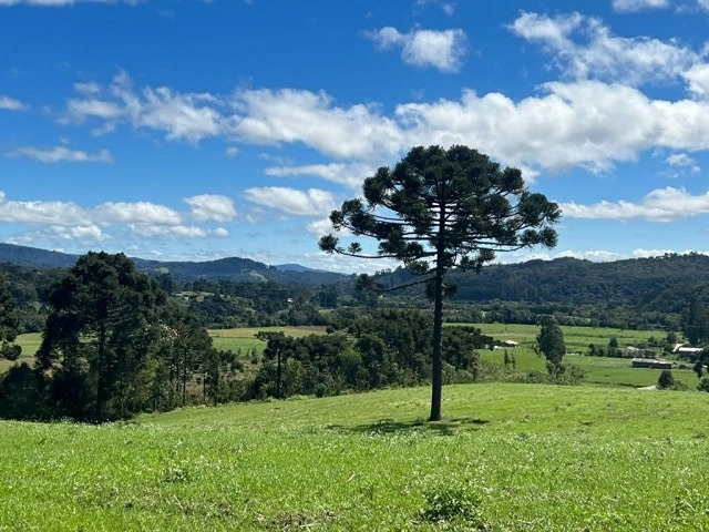 Terreno bem Aproveitavel: 3ª foto da galeria de imagens do imóvel