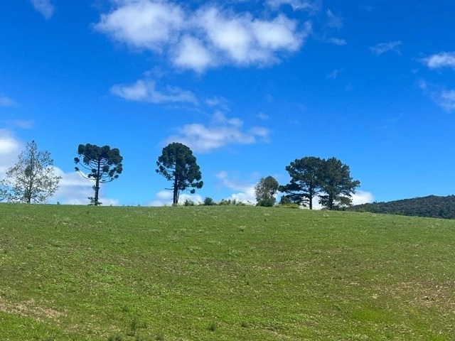 Terreno bem Aproveitavel: 7ª foto da galeria de imagens do imóvel
