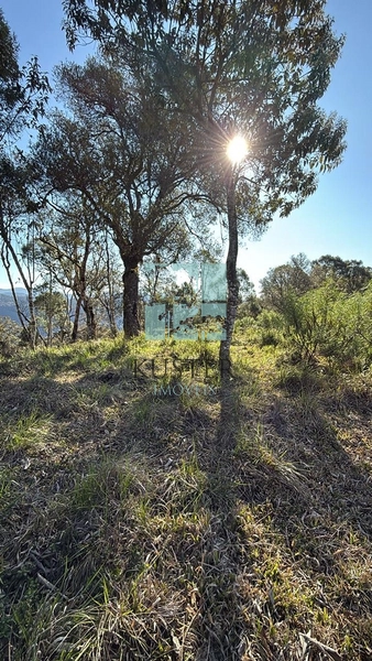 Terreno de Altitude: 13ª foto da galeria de imagens do imóvel
