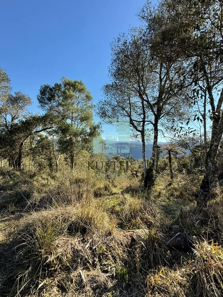 Terreno de Altitude: 8ª foto da galeria de imagens do imóvel