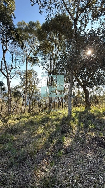 Terreno de Altitude: 15ª foto da galeria de imagens do imóvel