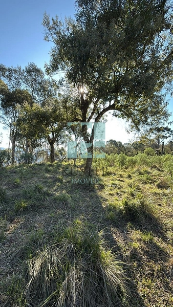 Terreno de Altitude: 10ª foto da galeria de imagens do imóvel