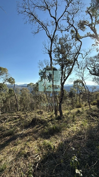 Terreno de Altitude: 11ª foto da galeria de imagens do imóvel