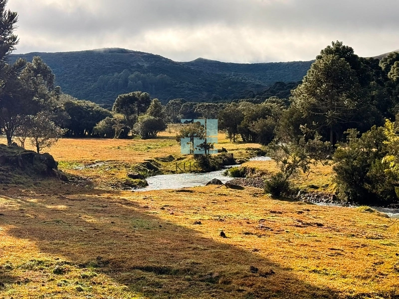 Terreno com rio: 21ª foto da galeria de imagens do imóvel