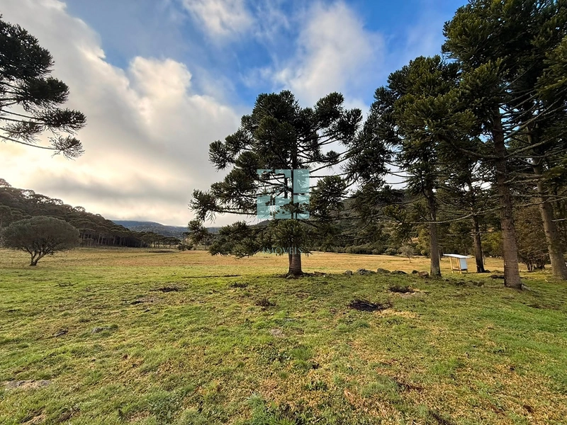 Terreno com rio: 17ª foto da galeria de imagens do imóvel