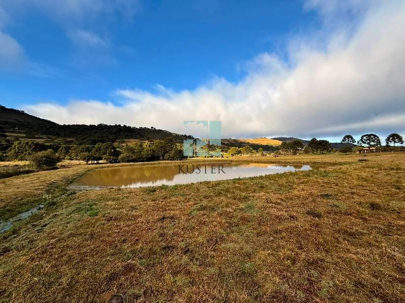 Terreno com rio: 5ª foto da galeria de imagens do imóvel