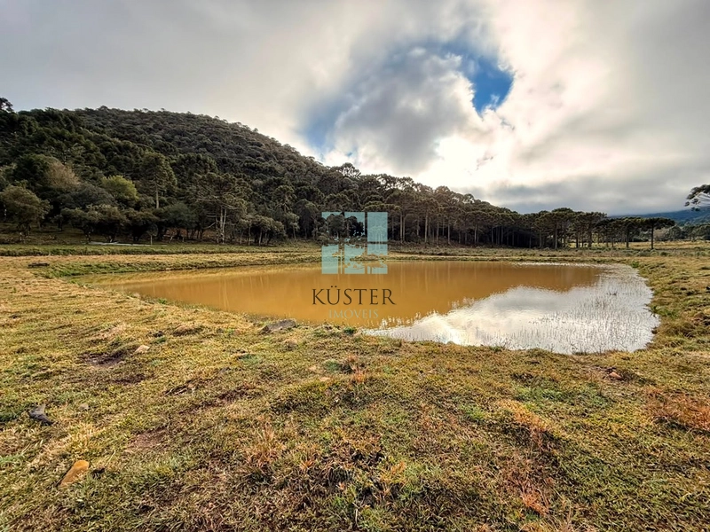 Terreno com rio: 19ª foto da galeria de imagens do imóvel