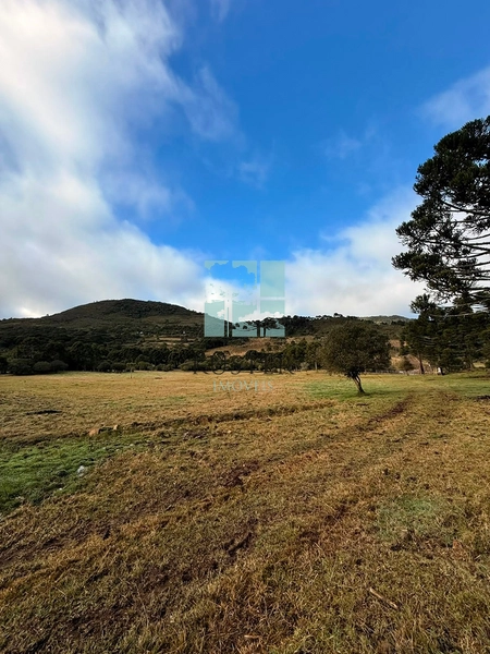 Terreno com rio: 18ª foto da galeria de imagens do imóvel