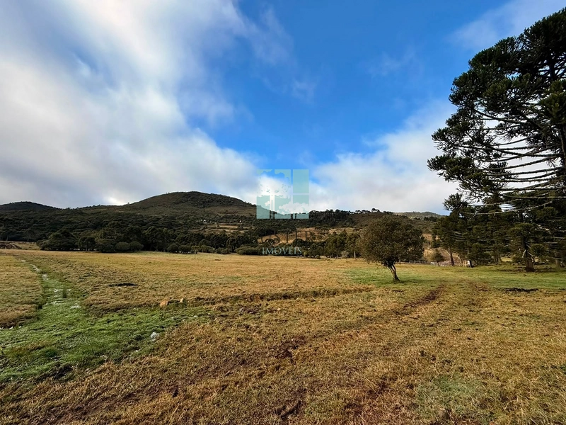 Terreno com rio: 7ª foto da galeria de imagens do imóvel